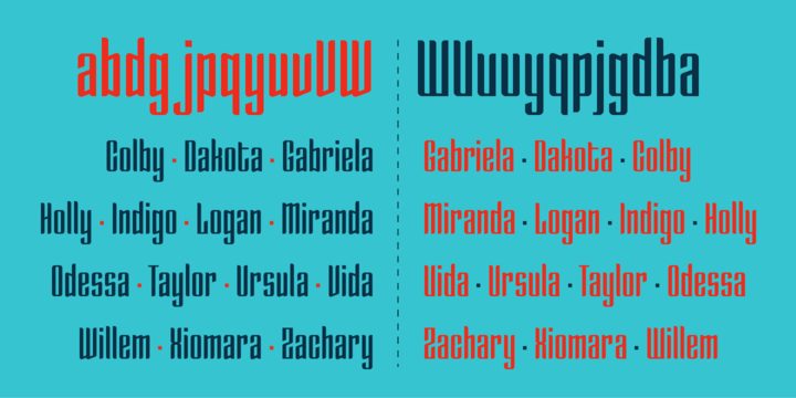 Enza Font Family