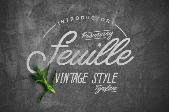 Free Feuille Rosemary Script Fonts