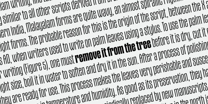 Gothiks Condensed Font Family Gothiks Condensed Font Family