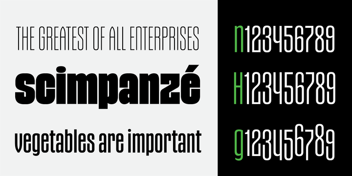Gothiks Condensed Font Family Gothiks Condensed Font Family