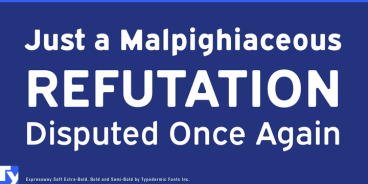 Expressway Soft Font Family
