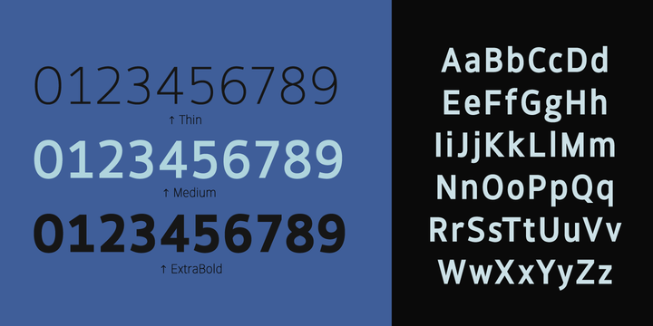 Hoxton North Font Family