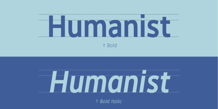 Hoxton North Font Family