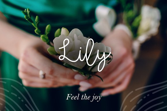 Lily Script Font iFonts xyz