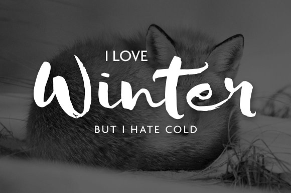 Sofie Script Font