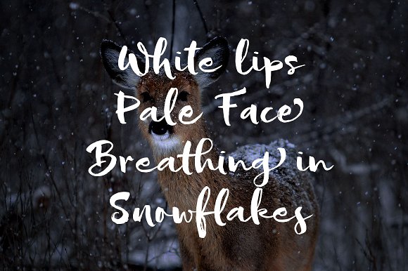 Sofie Script Font