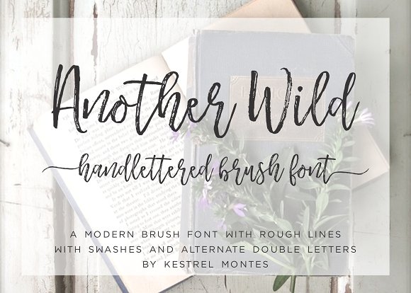 Another Wild Calligraphy font - iFonts.xyz