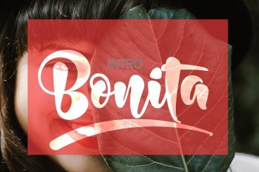 Bonita Script Font