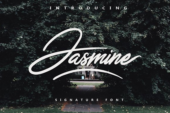Jasmine Script Font iFonts xyz