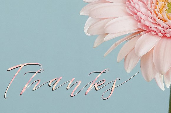 Sheraton Script Font