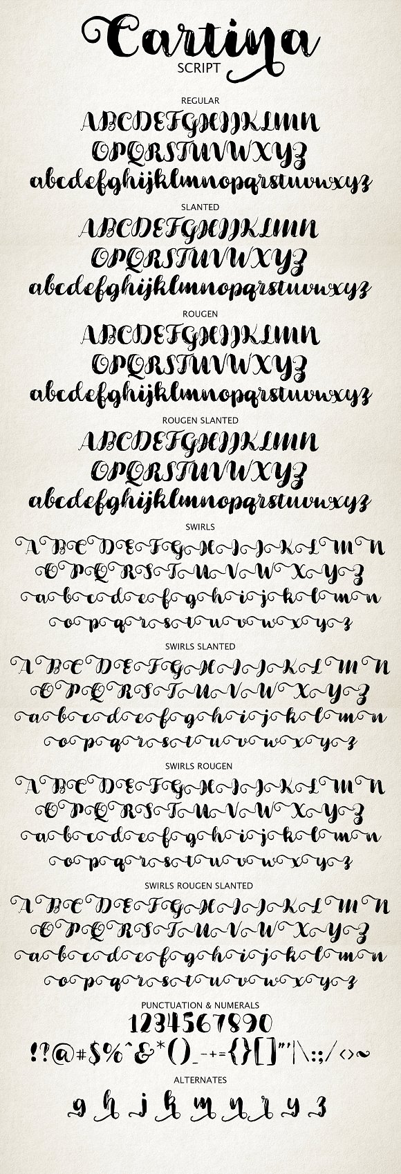 Cartina 8 in 1 Script Font