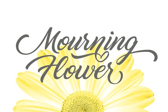 Marguerite Script Font Marguerite Script Font