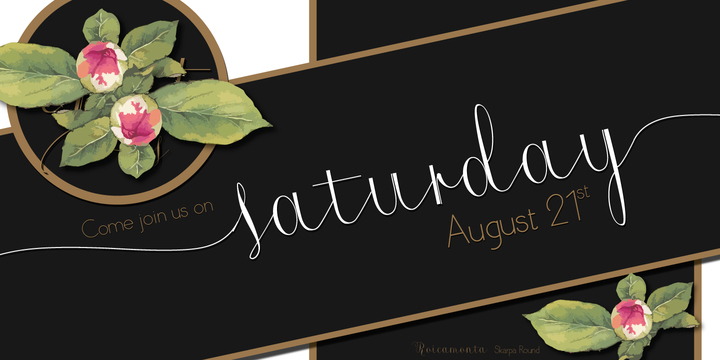 Roicamonta Font Family