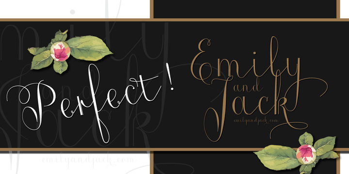 Roicamonta Font Family