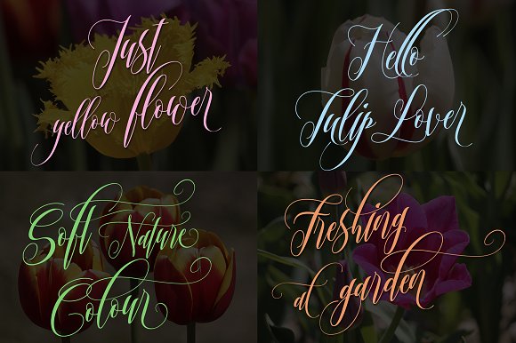 Twetter Script Font