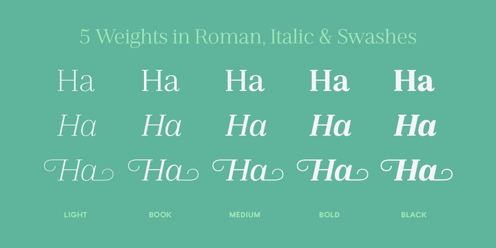 Jules Text Font Family