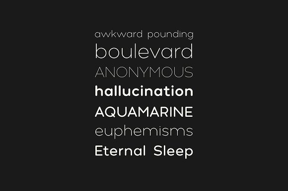 Polly - Bundle
