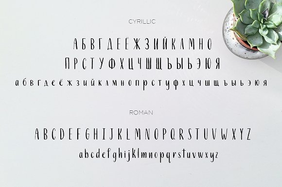 Ricotta. A Cyrillic and Roman Font