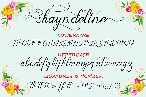 Shayndeline Script font Shayndeline Script font