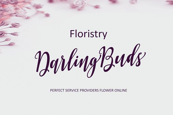 Biholgia Script Font