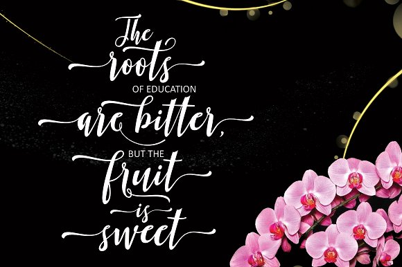 Biholgia Script Font