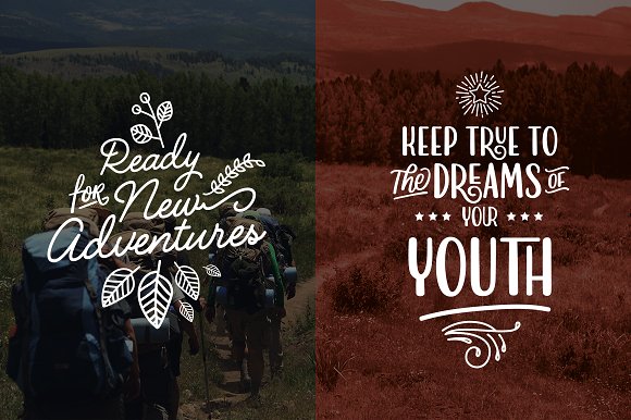 Delicy Script Font