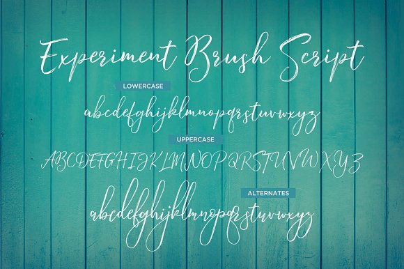 Experiment Brush Script