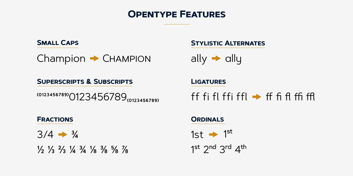 Artegra Sans Font Family