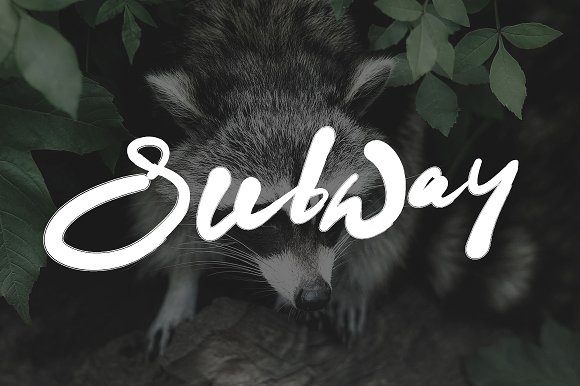 Datto Typeface