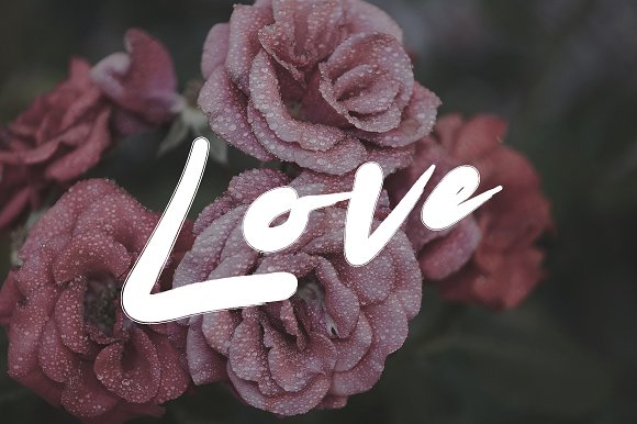 Datto Typeface