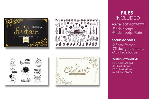 Findair Script Brush Font