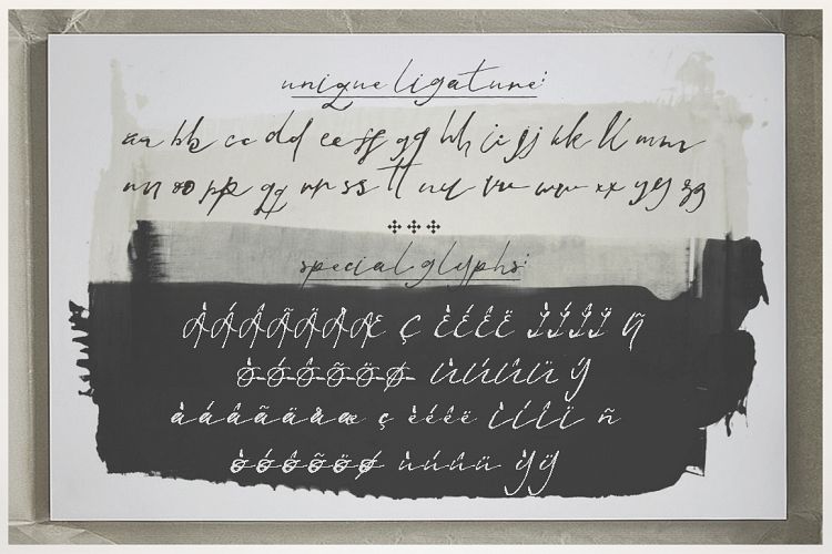 Jenna Jenkins Script Font