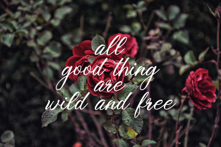 Little Ballerina Script Font