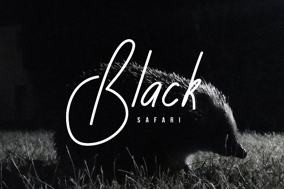 Free Rusa Hitam Script Fonts