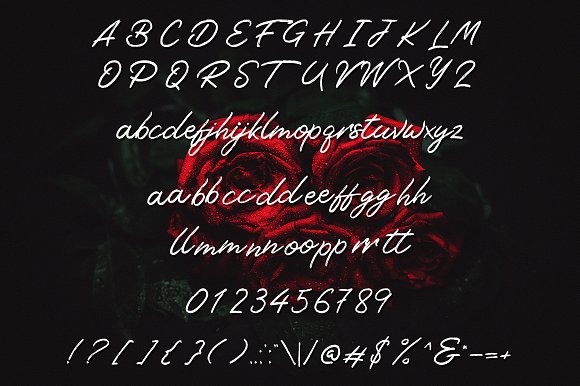 Free Tangier Script Script Fonts