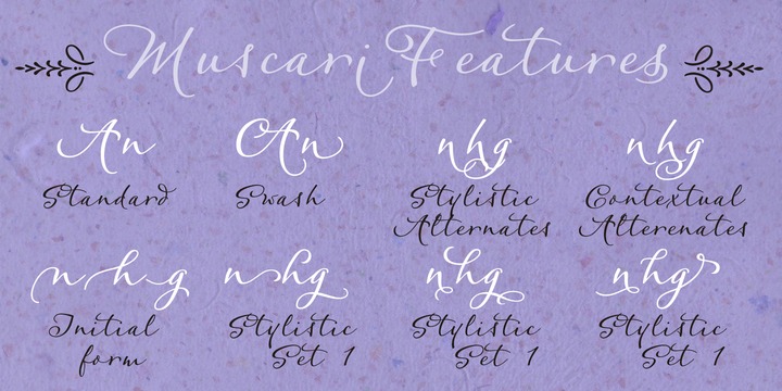 Muscari Font Family