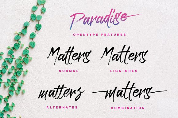 Paradise Typeface Paradise Typeface