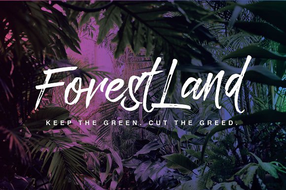 Paradise Typeface Paradise Typeface