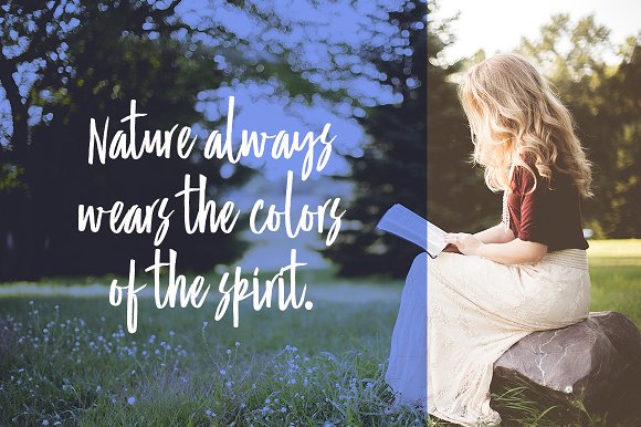 Bettol Script Font Bettol Script Font