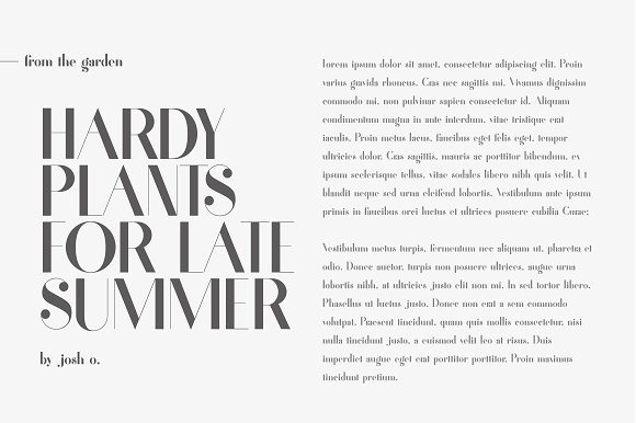 Fragile - A Delicate Typeface