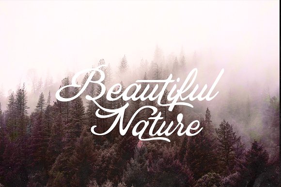 Harvest Typeface