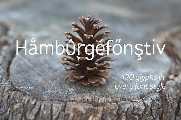 Pines Regular & Pines Italic Pines Regular & Pines Italic