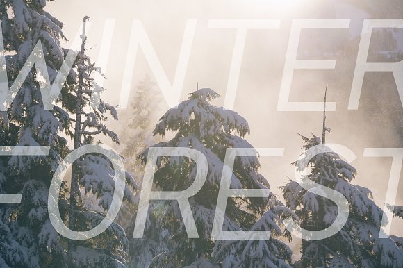 Pines Regular & Pines Italic Pines Regular & Pines Italic