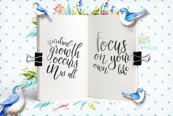 The Slowbird - Typeface