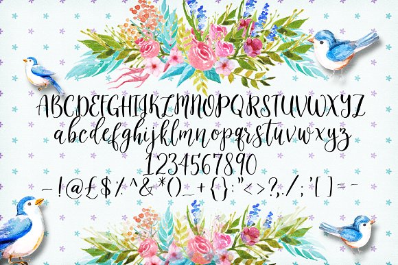 The Slowbird - Typeface
