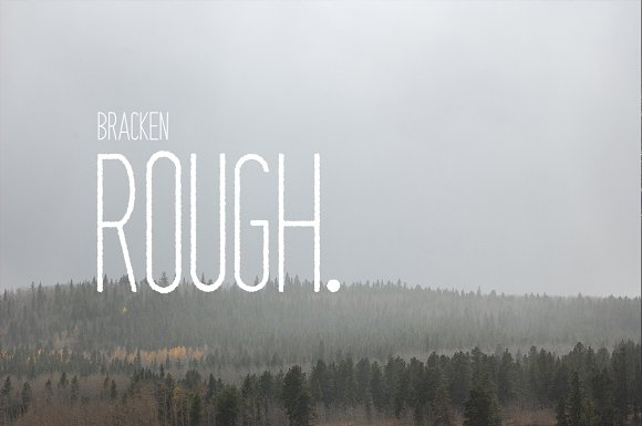 Bracken | A Hipster Font Family
