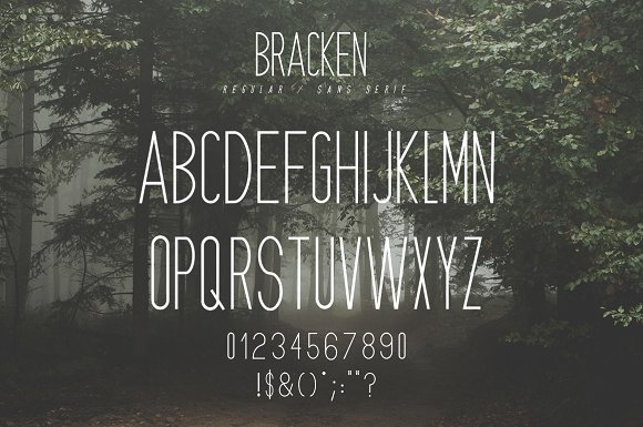 Bracken | A Hipster Font Family