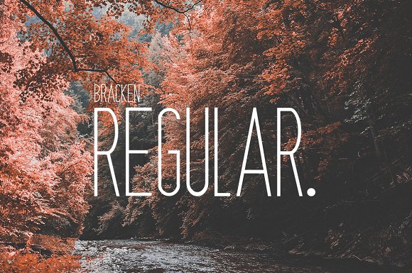 Bracken | A Hipster Font Family