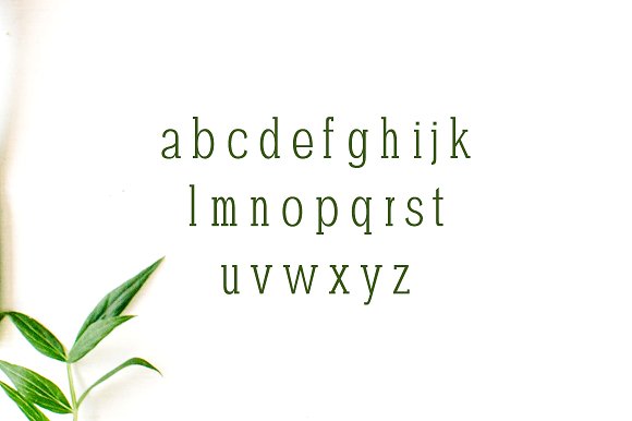 Darrion Slab Serif Typeface
