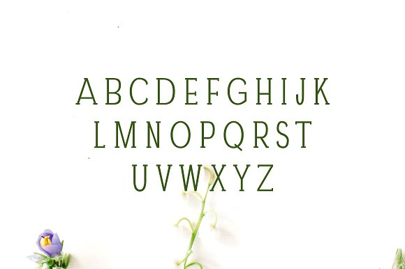 Darrion Slab Serif Typeface